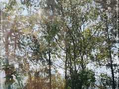 -孔雀湖生态旅游区