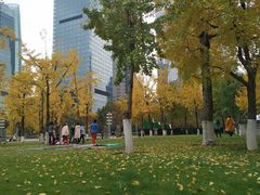 -重庆市江北嘴中央商务区中央公园