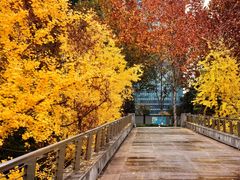 -重庆市江北嘴中央商务区中央公园