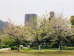 -面包新语(无锡M会员店)