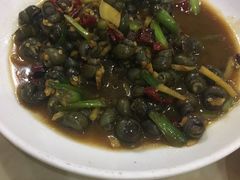 -红灯笼龙凤饭店(宁波老字号店)