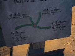 -普陀山风景区-佛顶山