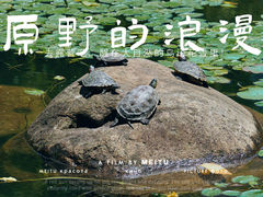 -徐家汇公园