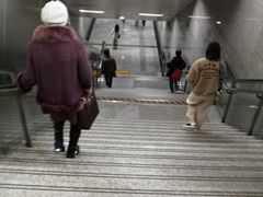 -陆家浜路(地铁站)