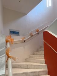 -WENDY·温迪皮肤管理