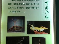 -上海昆虫博物馆