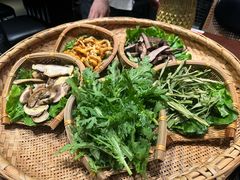-滇野云南野生菌餐厅(陕西南路店)