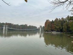 -东湖落雁景区