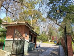 -之江大学-旧址