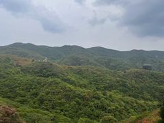 -大围山国家森林公园