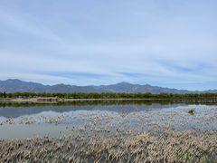-野鸭湖国家湿地公园