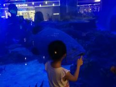 -成都浩海立方海洋公园