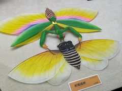 -潍坊世界风筝博物馆