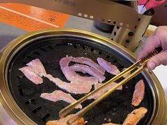 -杨小佳·齐齐哈尔烤肉·烤串(广州店)