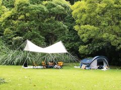 -吴淞炮台湾湿地森林公园烧烤区