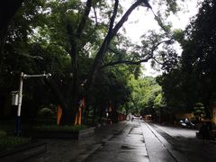 -桂林独秀峰王城景区