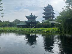 -桂湖森林公园
