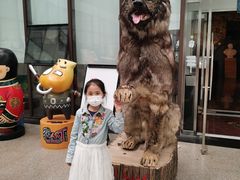 -大戚收音机电影机博物馆