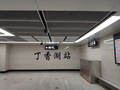 -丁香湖公园