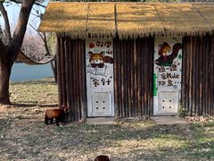 -合肥野生动物园
