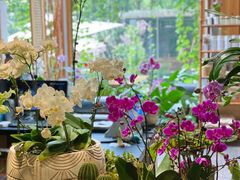 -谷咖啡·鲜花绿植花园餐厅