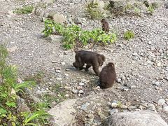 -西岭雪山大飞水景区