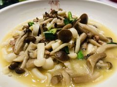 -院里寻菜·精致庭院菜(观沙岭店)