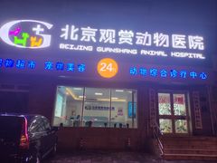 -北京观赏动物医院·24小时大型综合·猫专科·异宠专科