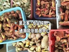 -菌之家·专业纯野生菌火锅·特色炒菌