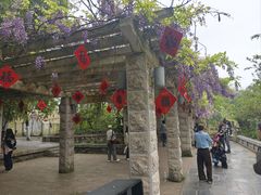 -花溪公园