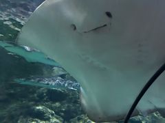 -南昌海洋公园