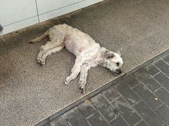 -章云板鸭(总店)