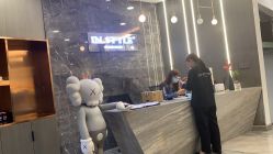 -IP SALON