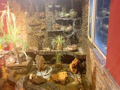 -大匠工房古船木艺术餐厅·猪肚鸡专门店(长白仙岛店)
