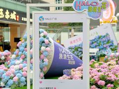 -HALO广场(梨园路店)