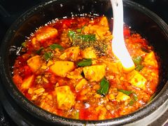 -陈麻婆豆腐总店