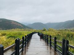 -泸沽湖国家级风景名胜区走婚桥