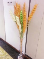 -美满国际月子中心(合生汇店)