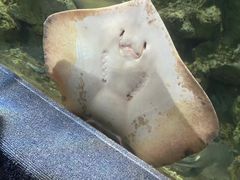 -杭州海底世界
