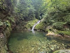 -牛背梁国家森林公园