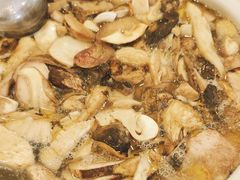 -杨记山珍鸡煲菌汤锅