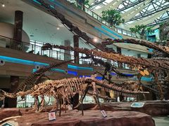 -安徽省地质博物馆