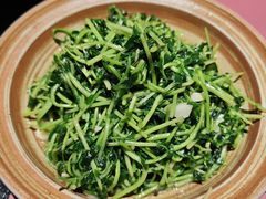 -纯阳•六两酒馆