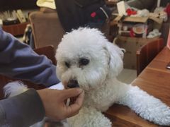-艾贝尔宠物医院 ·内科全科(梁溪路店)
