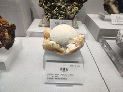 -湖南省地质博物馆