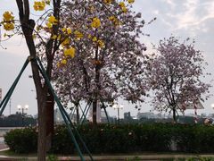 -广州市白云山风景名胜区