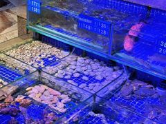 -青蓬蒸汽海鲜·深圳老字号·团建聚会(壹方城店)