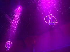 -珠海横琴长隆《卡卡虎奇遇记》