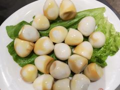 -川西坝子(老军营店)