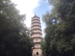 -灵谷景区